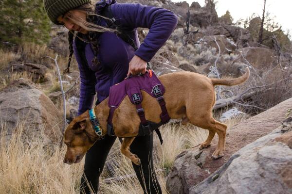 Ruffwear Web Master Harness Purple Rain Gr. XXS Ruffwear Web Master Harness Purple Rain Gr. XXS